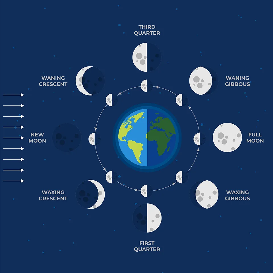 moon-phases.png