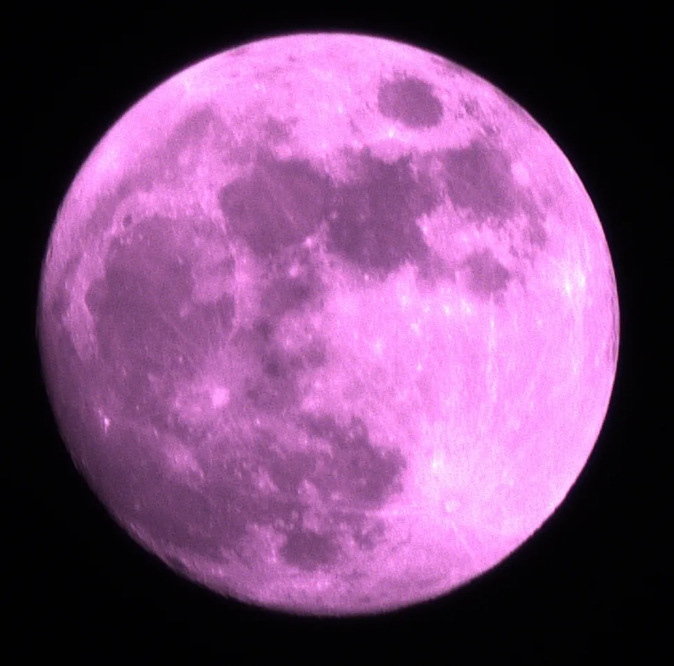 Pink Moon