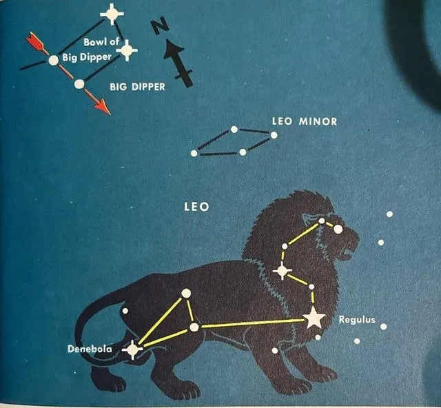 Regulus